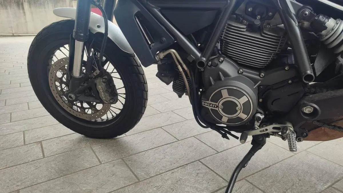 Ducati Scrambler 800 Classic (2015 - 16)  (18)