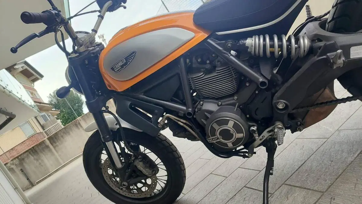 Ducati Scrambler 800 Classic (2015 - 16)  (6)