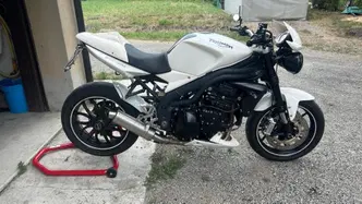 Triumph Speed Triple 1050 (2005 - 11) usata
