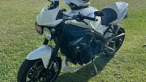 Triumph Speed Triple 1050 (2005 - 11)  (2)