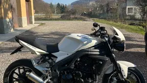 Triumph Speed Triple 1050 (2005 - 11)  (3)