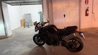 Triumph Speed Triple 1050 (2005 - 11) usata