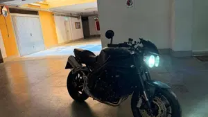 Triumph Speed Triple 1050 (2005 - 11)  (4)