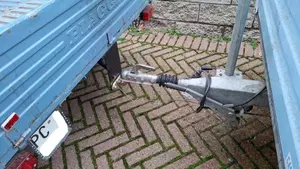 Piaggio   (13)
