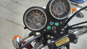 Triumph Bonneville T100 50th Anniversary (2009)  (10)