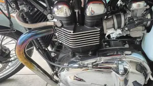 Triumph Bonneville T100 50th Anniversary (2009)  (14)
