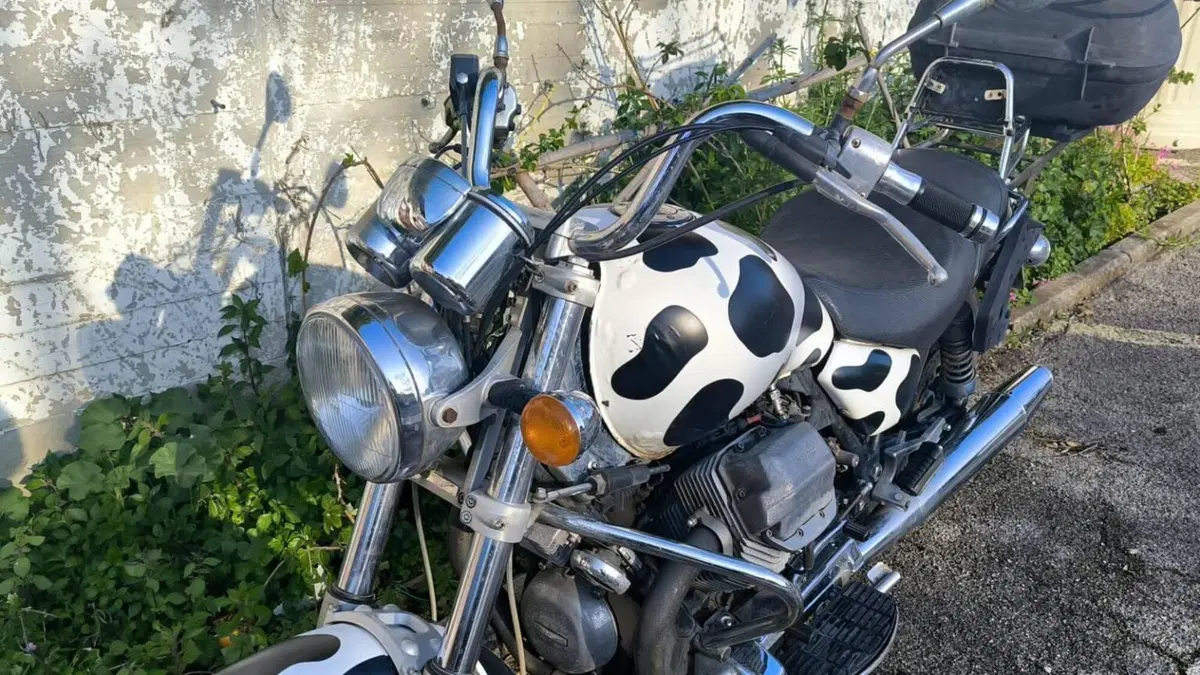 Moto Guzzi California Vintage  (4)