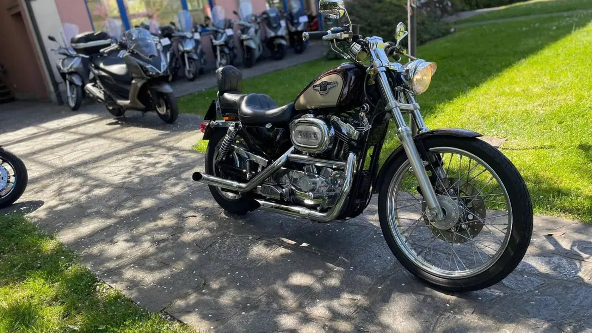 Harley-Davidson 1200 Custom (1995 - 00) - XL 1200C  (5)