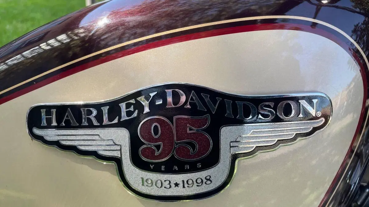 Harley-Davidson 1200 Custom (1995 - 00) - XL 1200C  (7)
