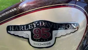 Harley-Davidson 1200 Custom (1995 - 00) - XL 1200C  (7)