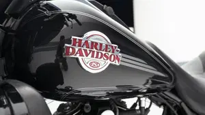 Harley-Davidson 1584 Electra Glide Ultra Classic (2007) - FLHTCU  (12)