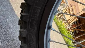 Betamotor RR 125 4T Enduro T (2023 - 24)  (9)