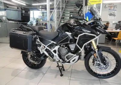 Triumph Tiger 1200 Rally Pro (2024 - 26) - Annuncio 9981115