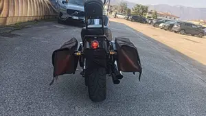 Harley-Davidson 1584 Wide Glide (2007 - 11) - FXDWG  (4)