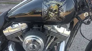 Harley-Davidson 1584 Wide Glide (2007 - 11) - FXDWG  (8)