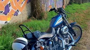 Harley-Davidson 1200 Roadster (2002 - 05) - XL 1200R  (2)