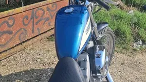 Harley-Davidson 1200 Roadster (2002 - 05) - XL 1200R  (3)