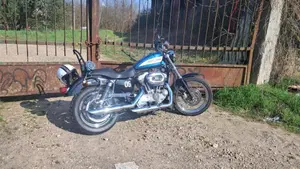 Harley-Davidson 1200 Roadster (2002 - 05) - XL 1200R  (4)