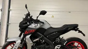 Yamaha MT-125 ABS (2020)  (7)