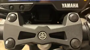 Yamaha MT-125 ABS (2020)  (8)