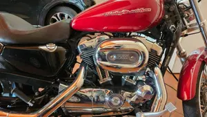 Harley-Davidson 1200 Custom (2007 - 13) - XL 1200C  (2)