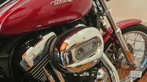 Harley-Davidson 1200 Custom (2007 - 13) - XL 1200C  (3)