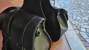 Harley-Davidson 1200 Custom (2007 - 13) - XL 1200C  (6)
