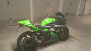 Kawasaki Ninja 250 R (2007 - 13)  (2)