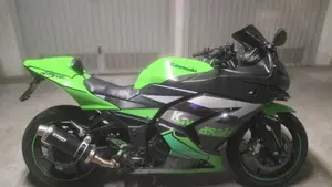 Kawasaki Ninja 250 R (2007 - 13)  (3)
