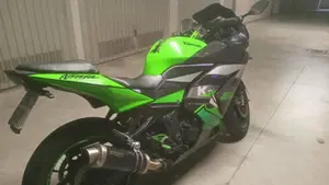 Kawasaki Ninja 250 R (2007 - 13)  (7)