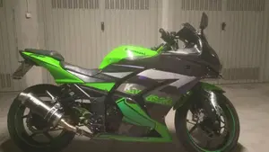 Kawasaki Ninja 250 R (2007 - 13)  (13)