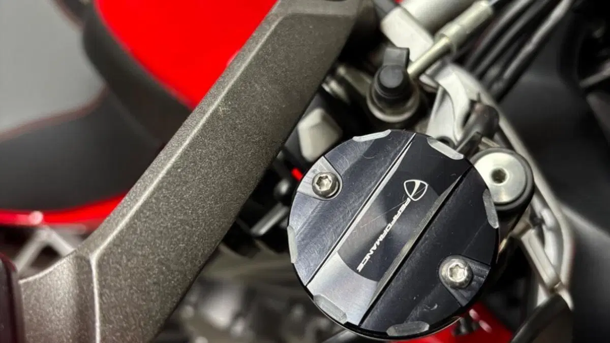 Ducati Multistrada 1260 S (2018 - 20)  (10)