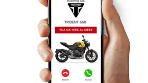 Triumph Trident 660 (2026)  (3)