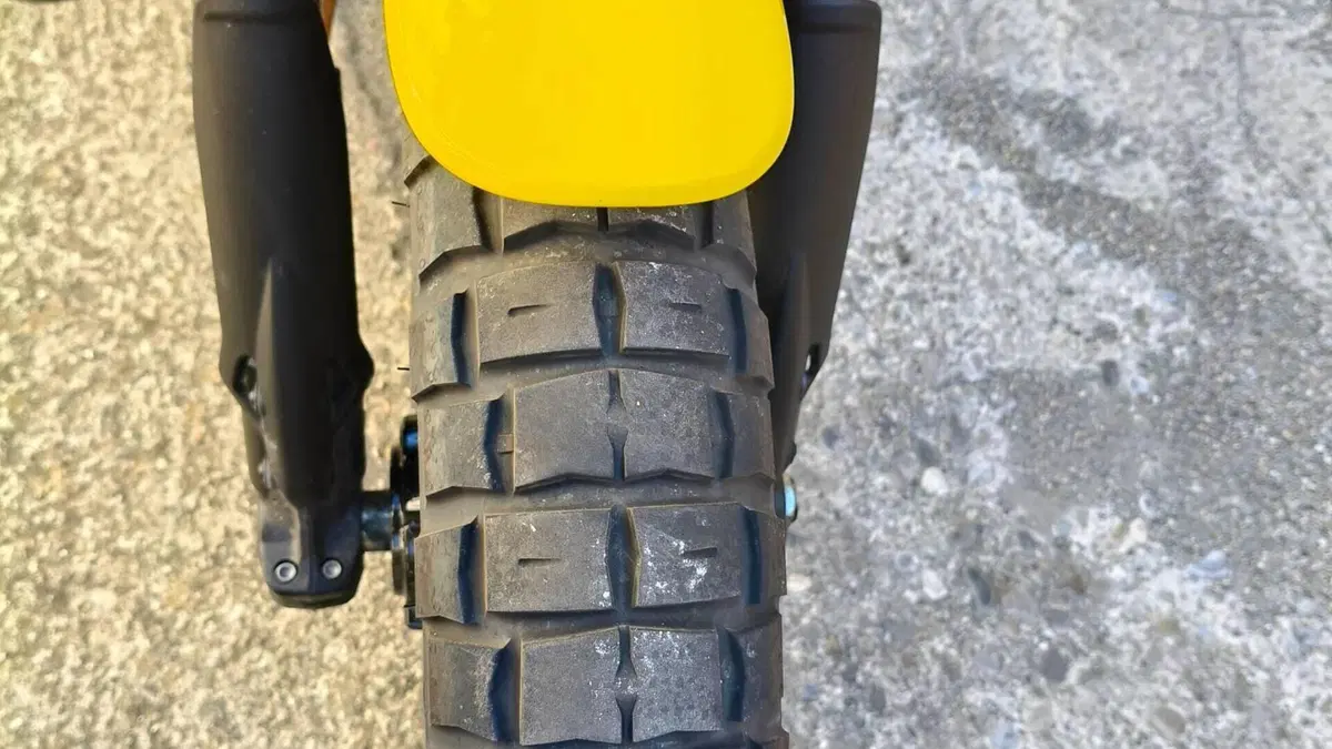 Ducati Scrambler 800 Icon (2023 - 24)  (7)