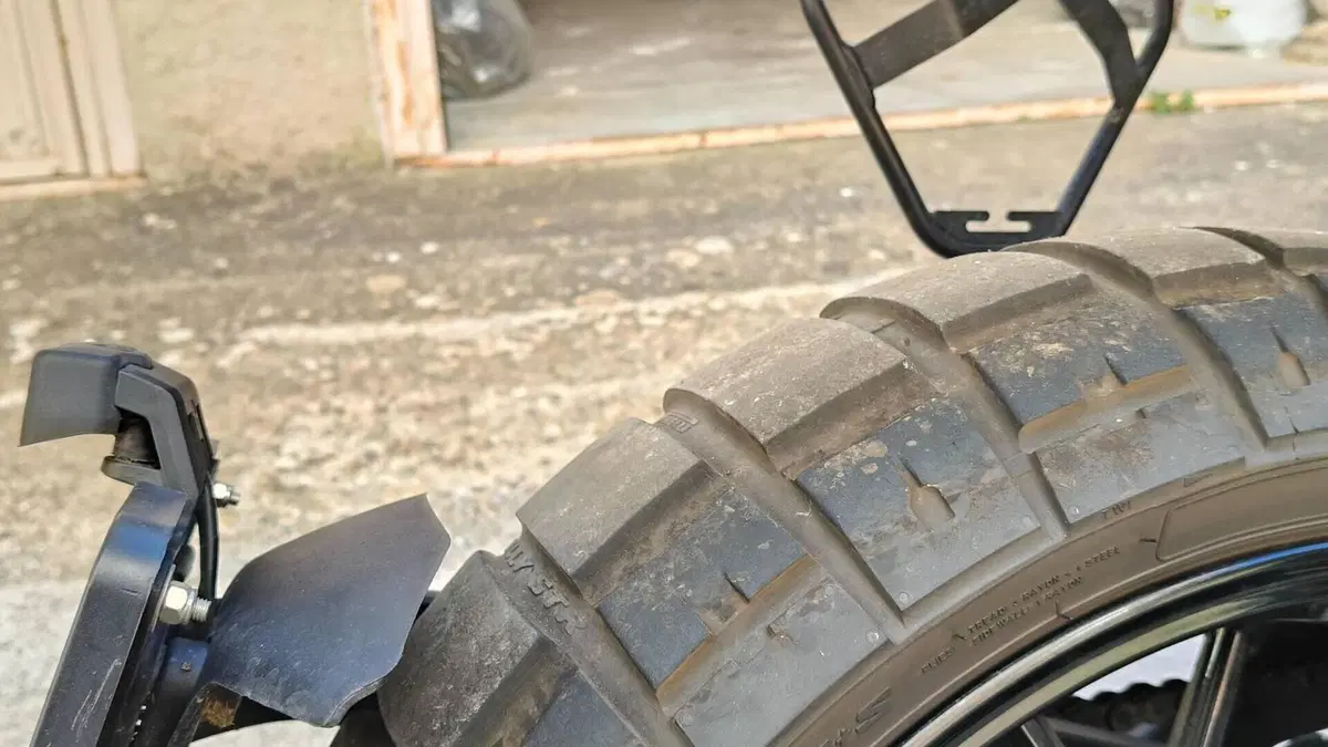 Ducati Scrambler 800 Icon (2023 - 24)  (8)