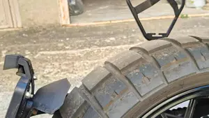 Ducati Scrambler 800 Icon (2023 - 24)  (8)