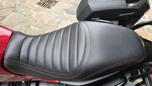 Benelli Leoncino 500 (2021 - 25)  (4)