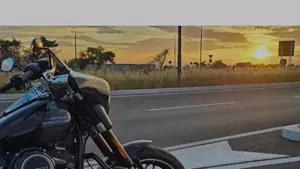 Harley-Davidson Sport Glide (2021 - 25)  (2)