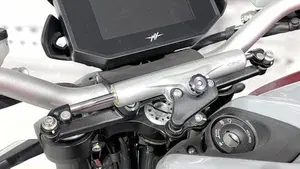 MV Agusta Brutale 800 RR (2021 - 25)  (5)