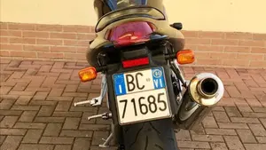 Triumph Speed Triple 955 (1998 - 01)  (3)