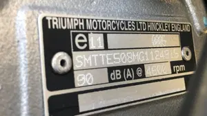 Triumph Speed Triple 955 (1998 - 01)  (7)