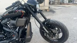 Harley-Davidson 114 FXDR Limited Edition (2020)  (5)