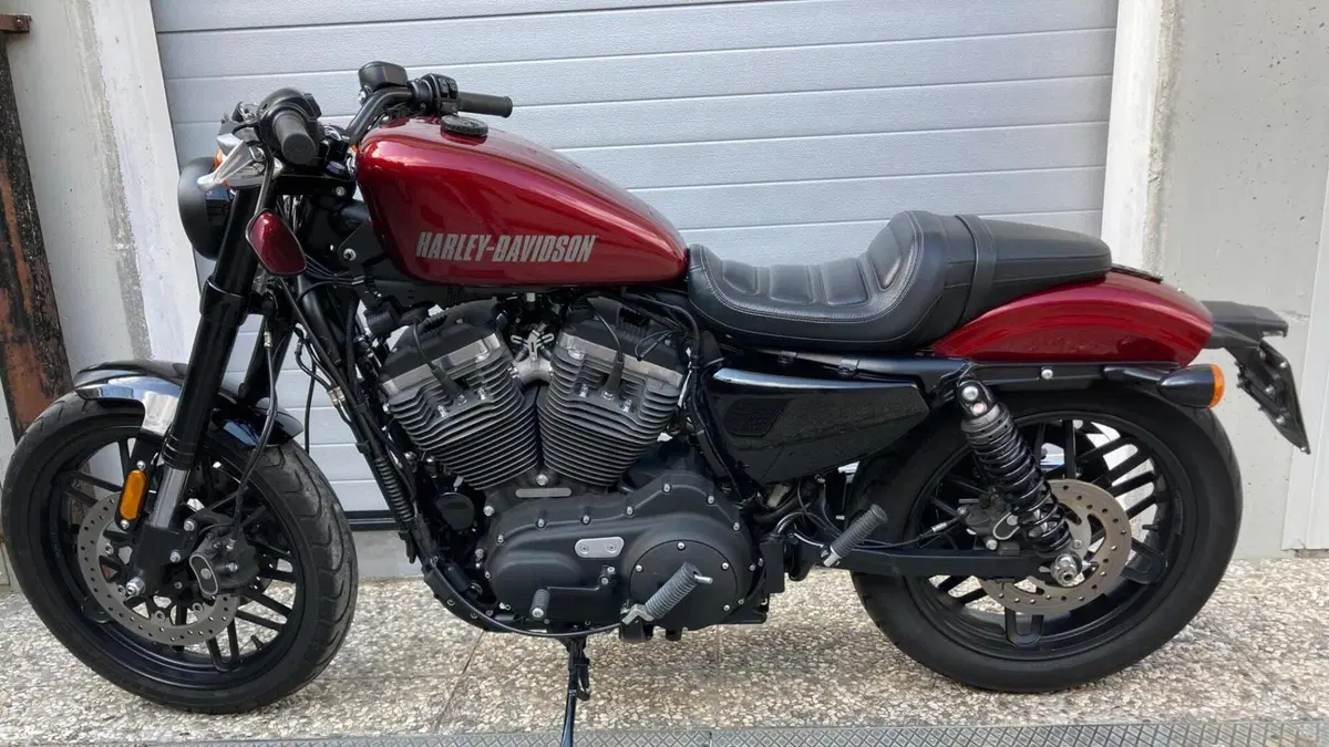 Harley-Davidson 1200 Roadster (2016 - 2017) - XL 1200R  (2)