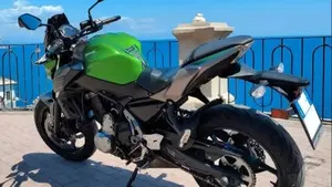 Kawasaki Z 650 (2017 - 19)  (2)