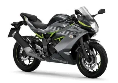 Kawasaki Ninja 125 (2025 - 26) - Annuncio 9982024