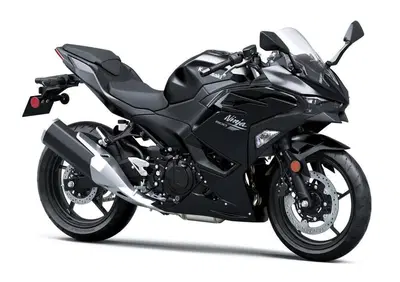 Kawasaki Ninja 500 (2024 - 26) - Annuncio 9982034