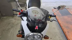 Honda Hornet 600 (2003 - 04)  (9)