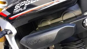 Triumph Speed Triple 1200 RS (2021 - 24)  (2)