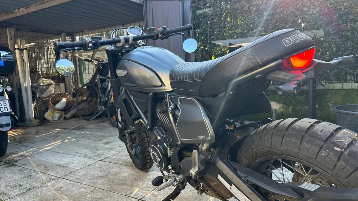 Ducati Scrambler 800 Night Shift (2021 - 22)  (6)