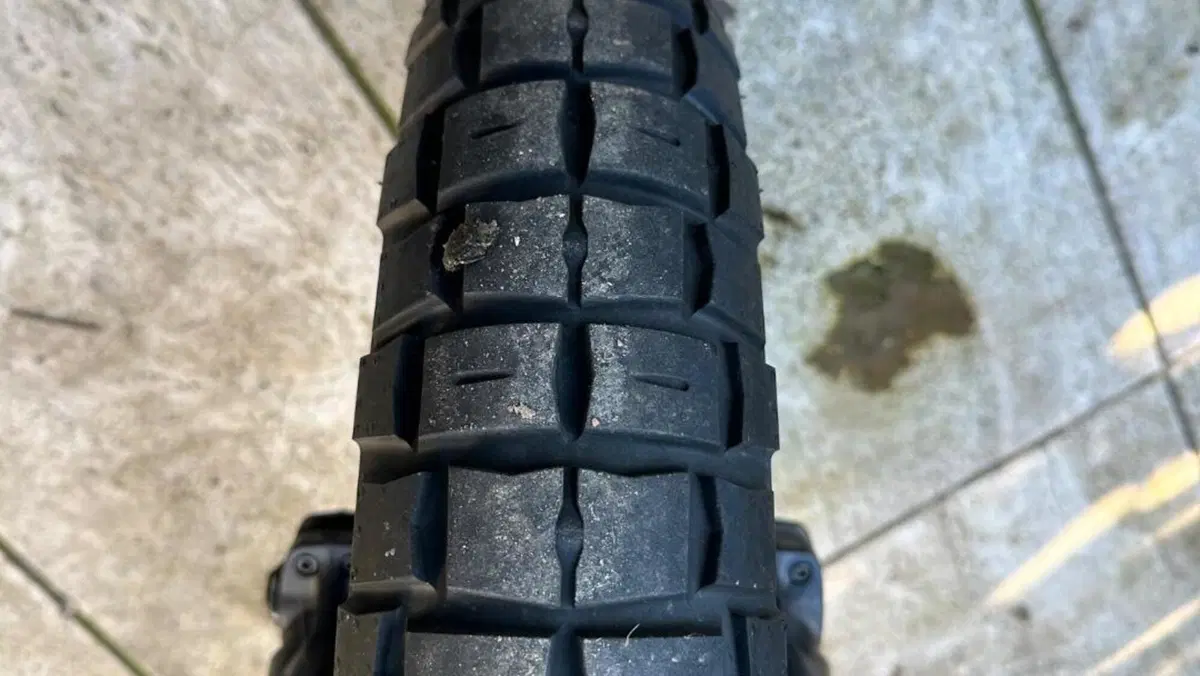 Ducati Scrambler 800 Night Shift (2021 - 22)  (7)